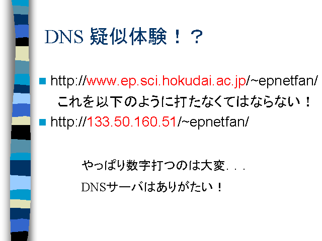 DNS �����θ�����