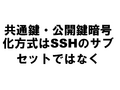 ���̸����������Ź沽������SSH�Υ��֥��åȤǤϤʤ�