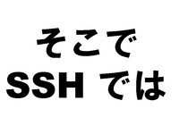 ������ SSH �Ǥ�