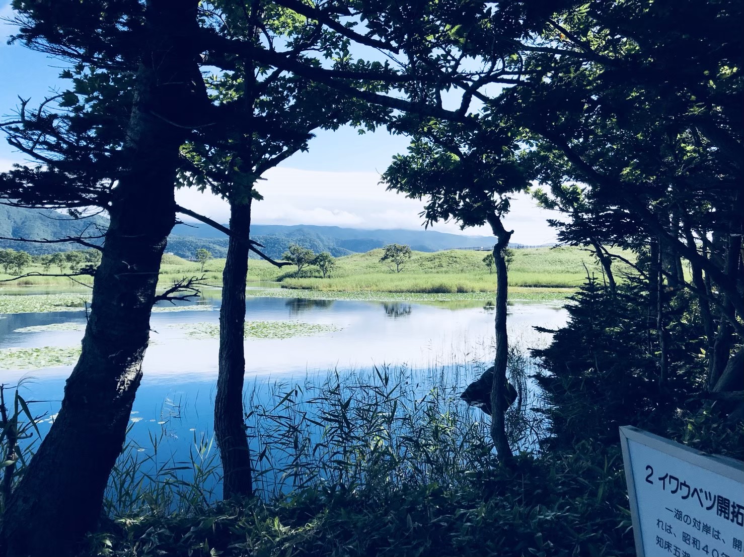 知床五湖の写真