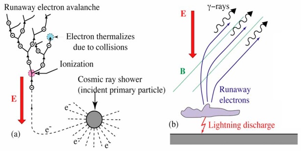 Occurrence Mechanismof TGFs