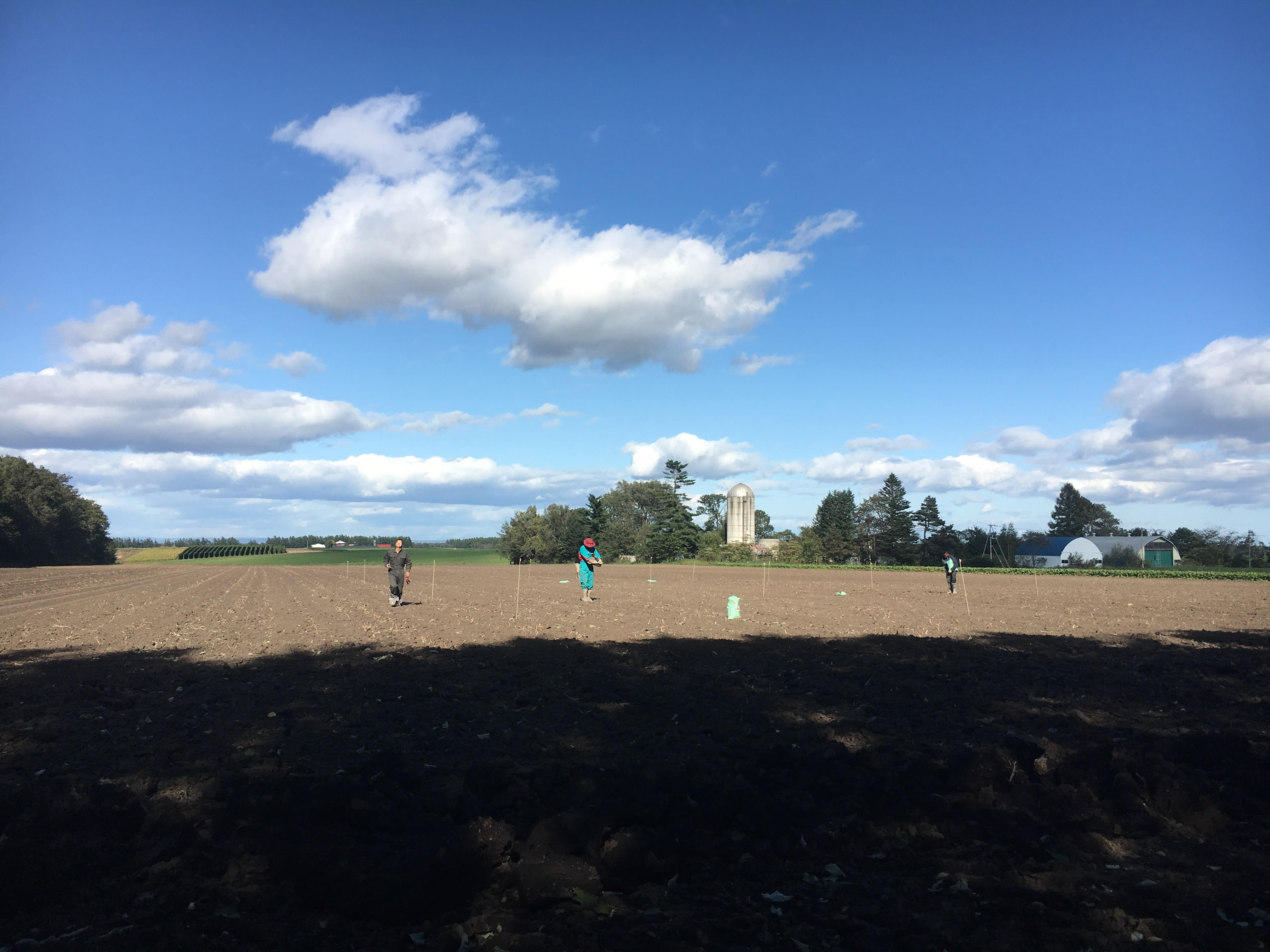 photo took at the field in Obihiro