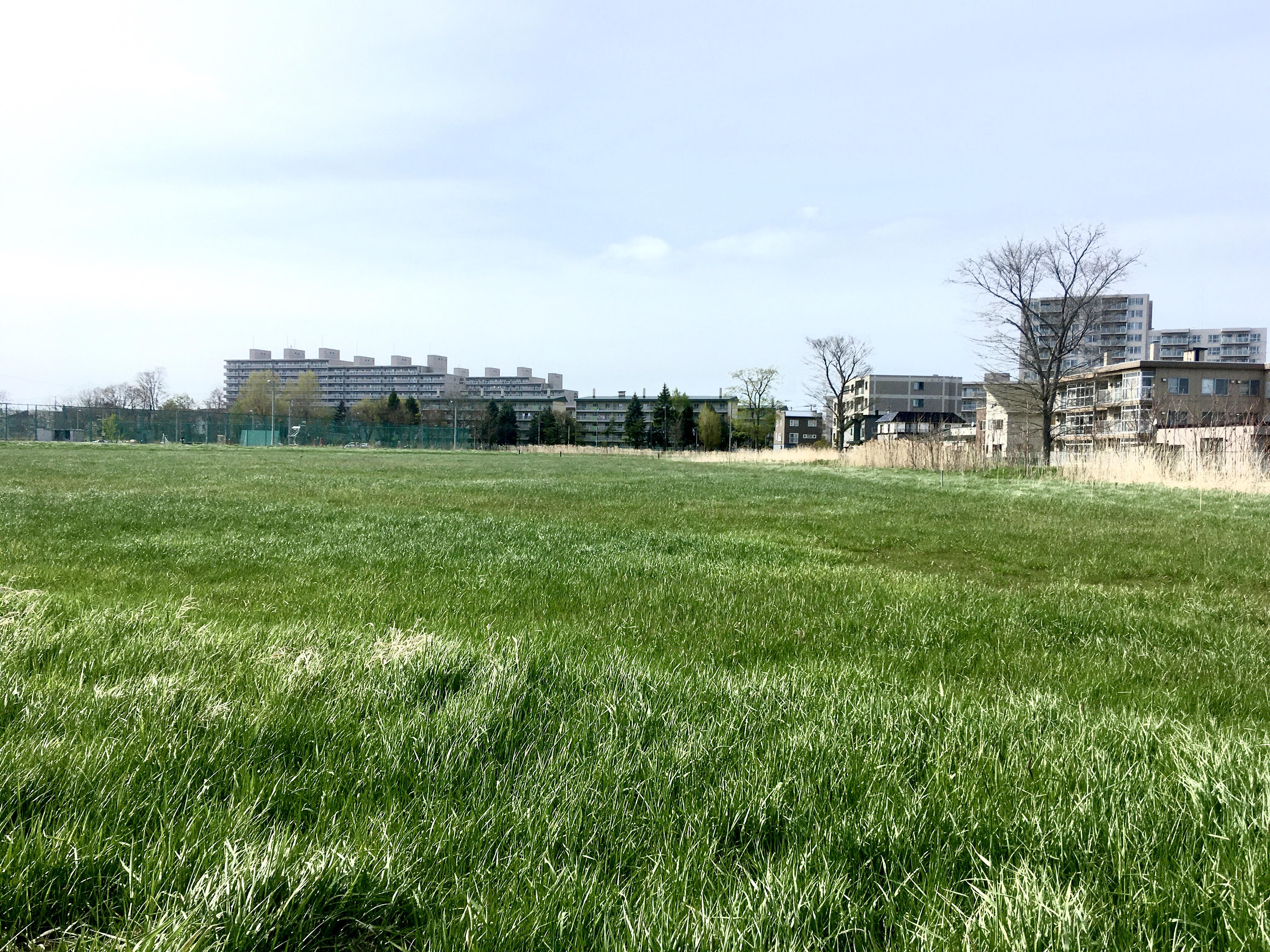 photo of the glass field
