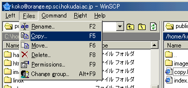 Scp file