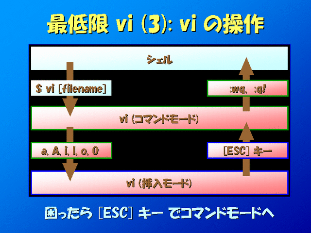  vi (3) vi 