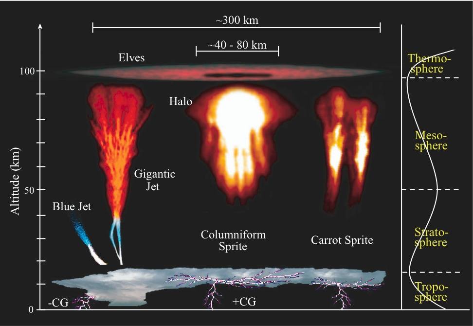 Occurrence Types of TLEs