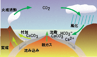 炭素循環の模式図 田近(1998)をもとに作成
