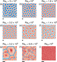 Figure3